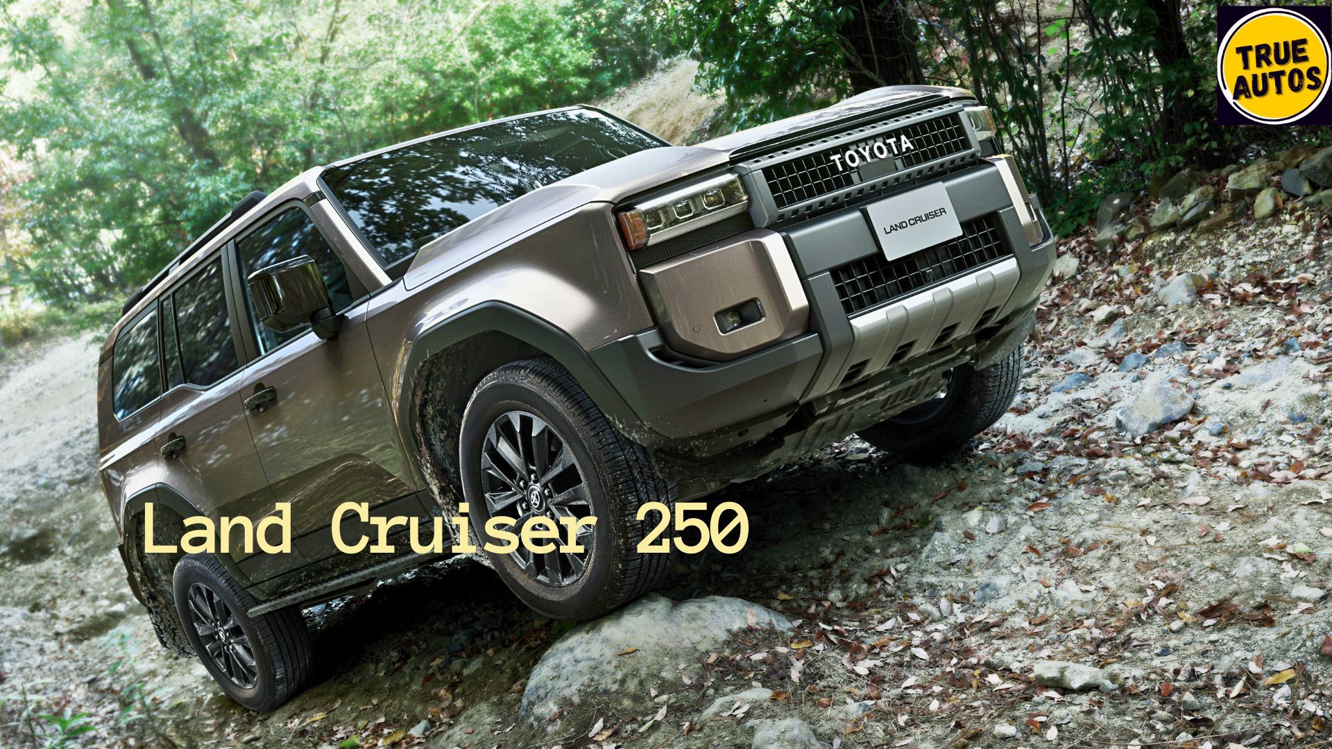 Land Cruiser 250 series